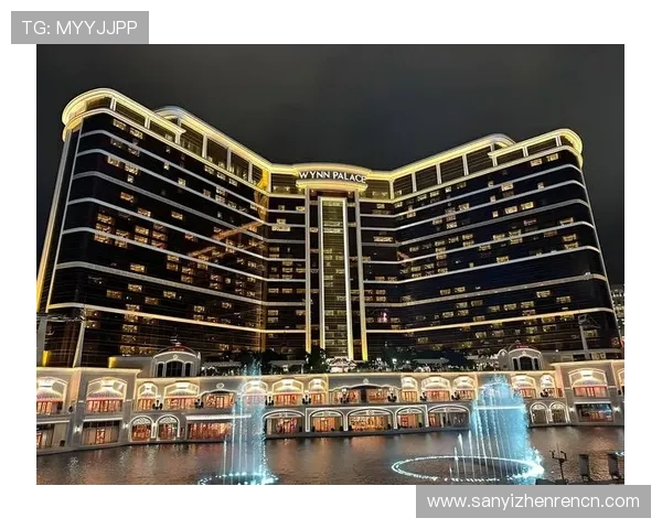 全面解析百家乐脚本的原理与应用技巧提升你的赢钱概率 全面解析百家乐脚本的原理与应用技巧提升你的赢钱概率