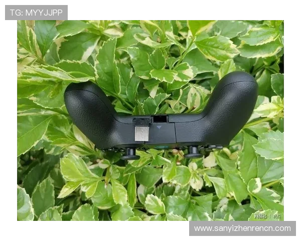 欧宝真人全天候在线即时服务让你的游戏体验更加顺畅